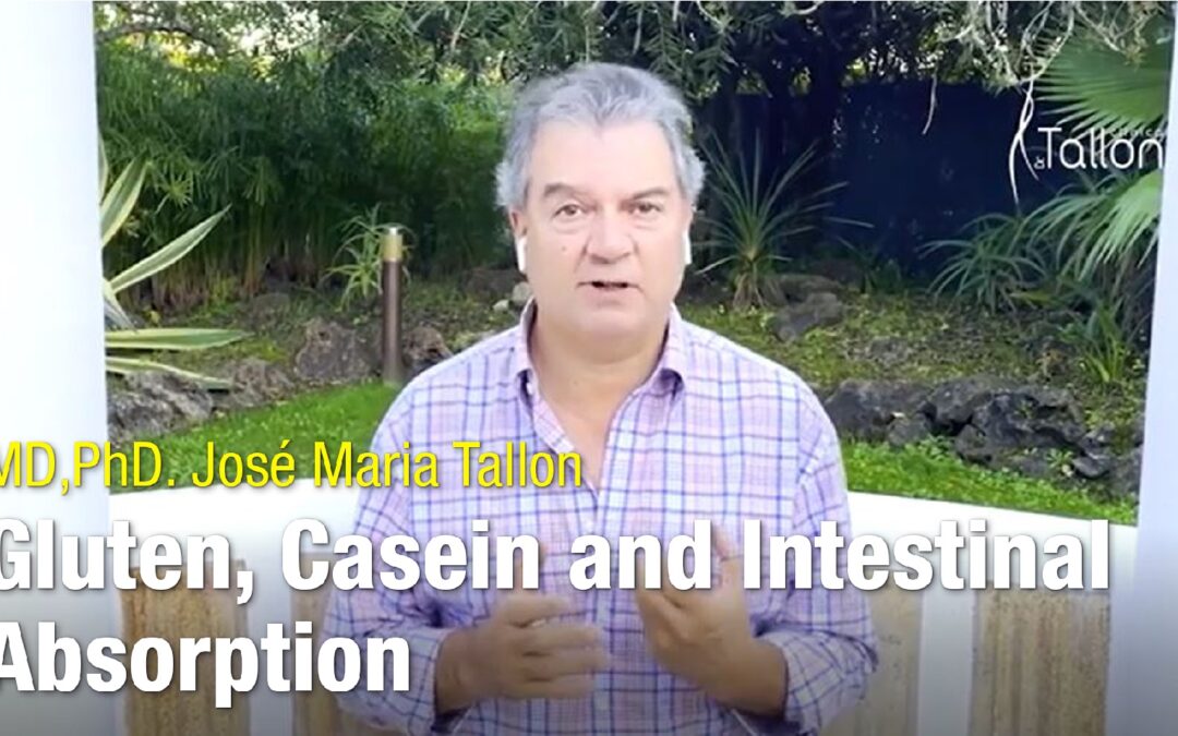 Glúten, caseína e absorção intestinal