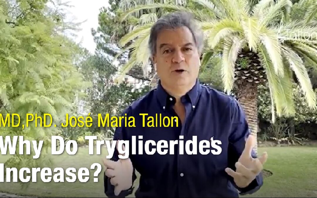 Porque aumentam os Trigliceridos?