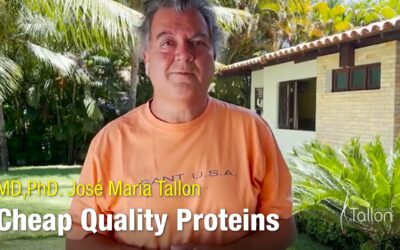 Proteínas baratas e de qualidade!