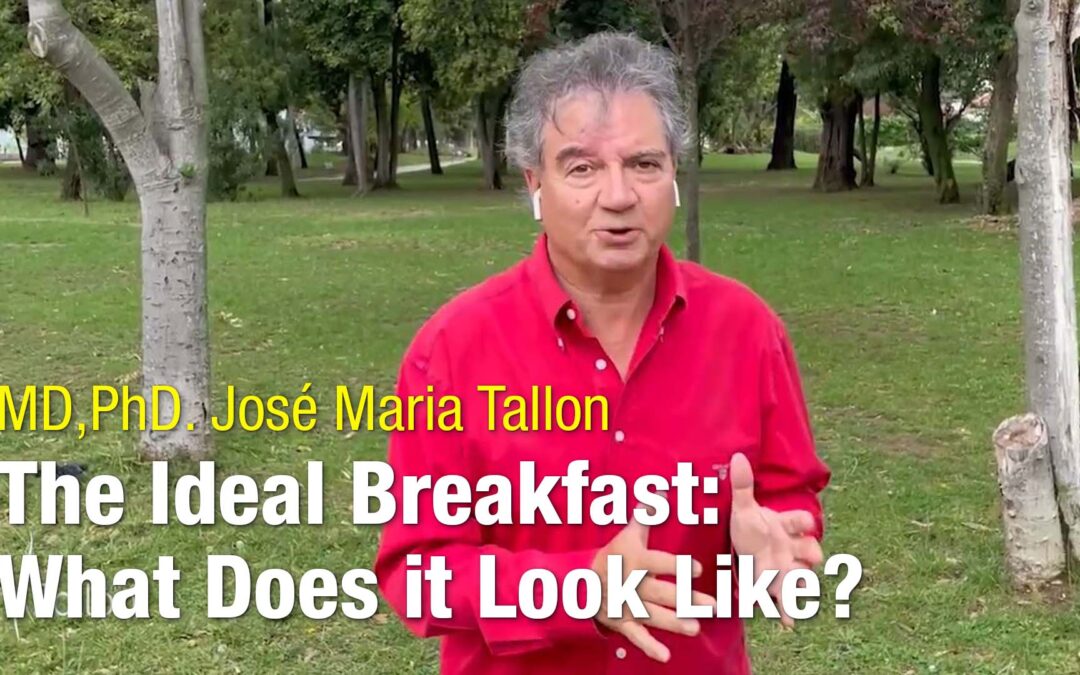 Qual é o pequeno almoço ideal?