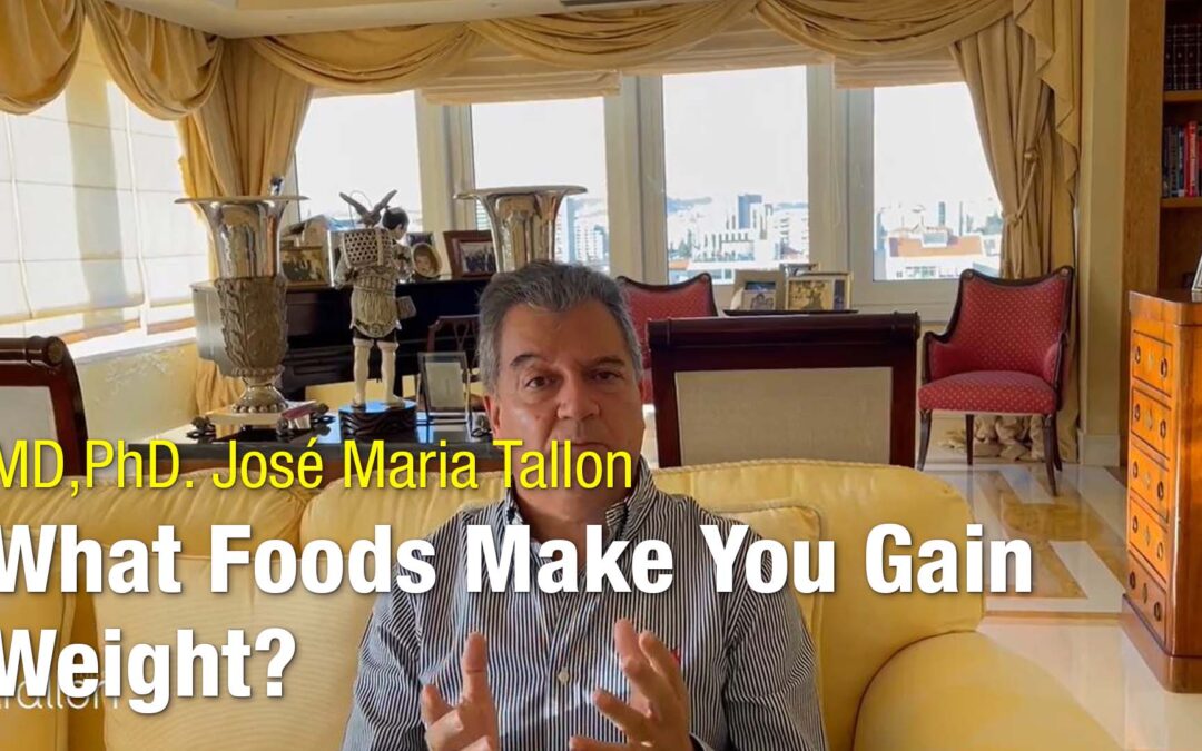 Que alimentos engordam?
