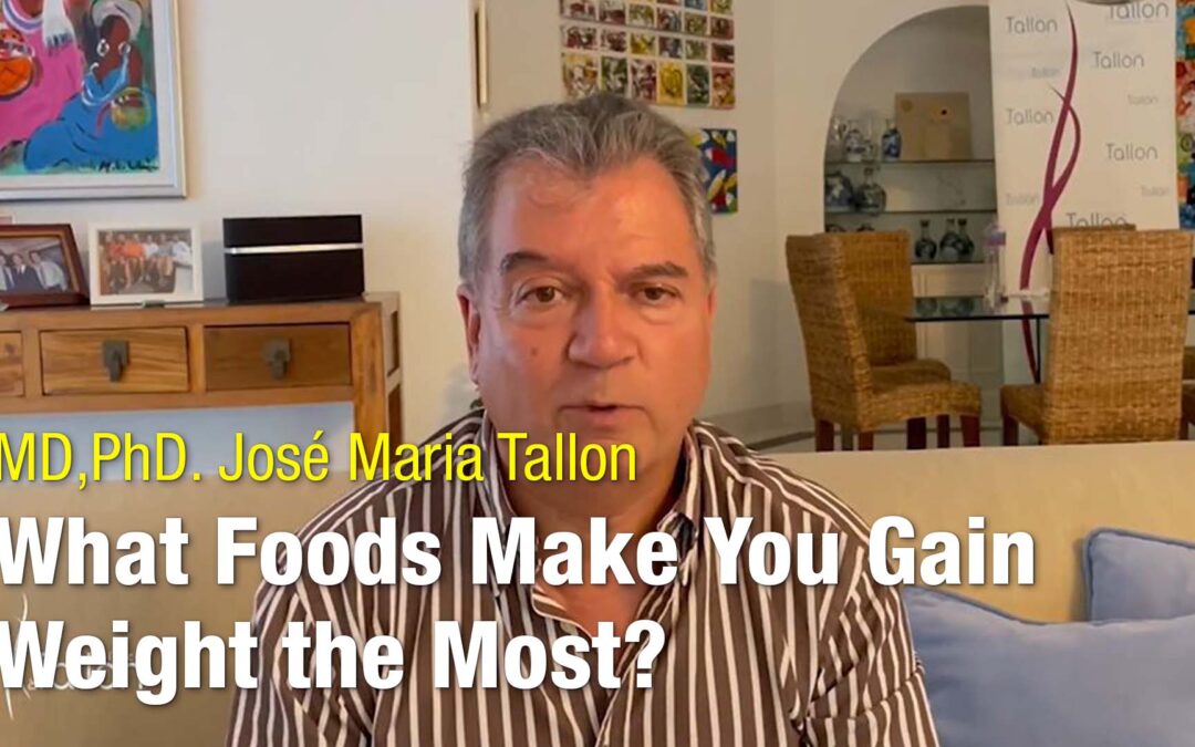 Quais os alimentos que engordam mais?