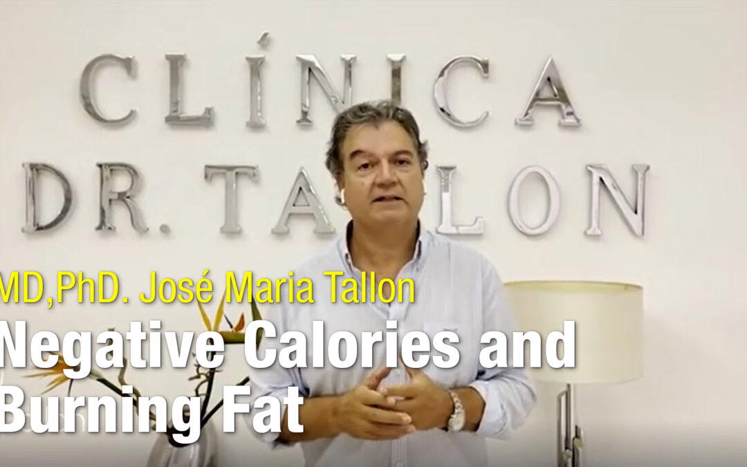 Calorias negativas e queima gorduras: mitos ou realidades?