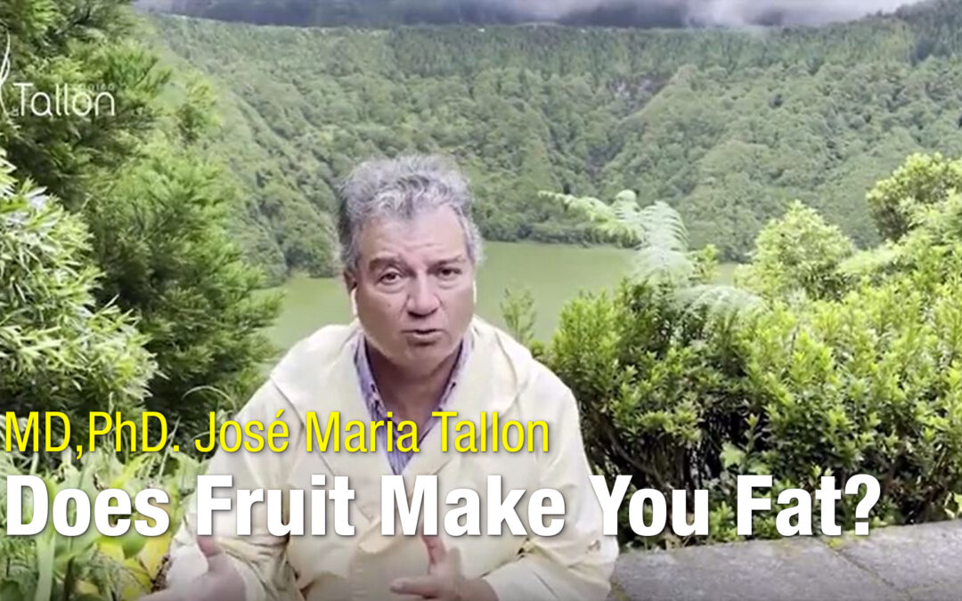 A fruta engorda?