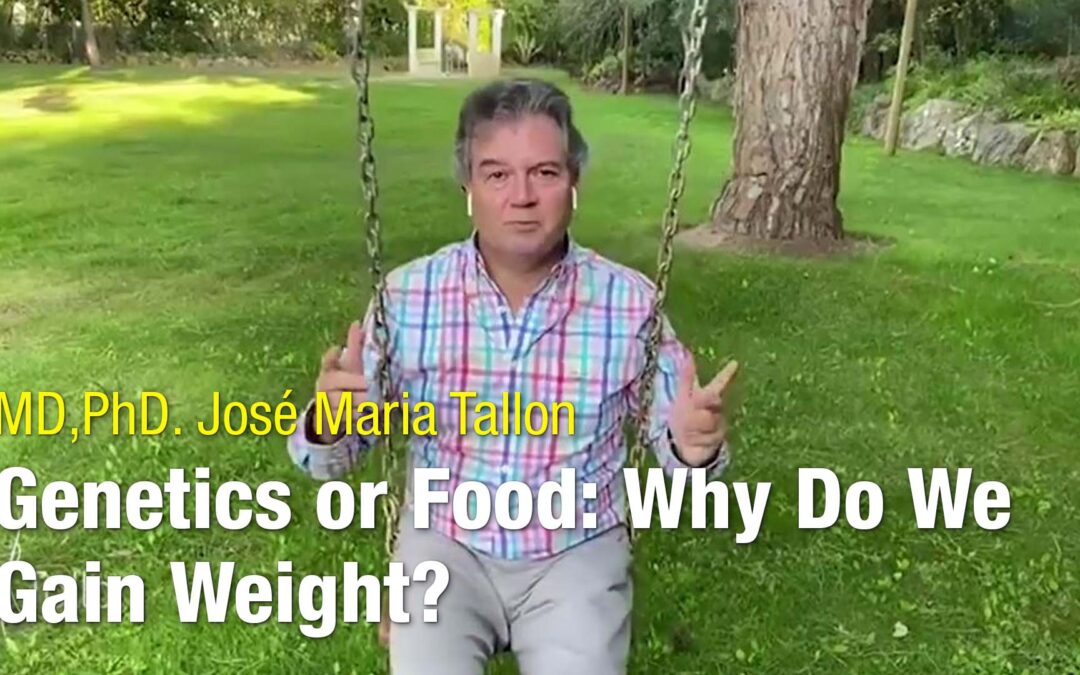 Genética ou comida: porque engordamos?