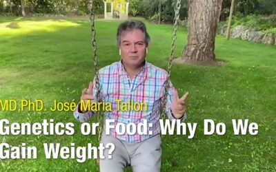 Genética ou comida: porque engordamos?